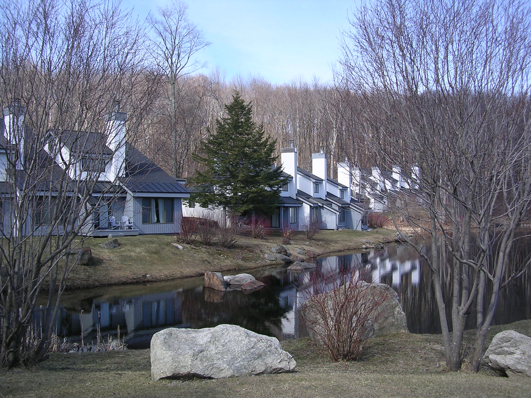 The Woods Prestige Real Estate of Killington